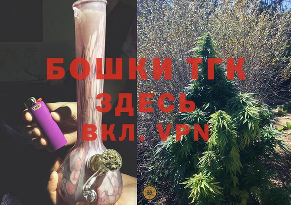 соль ск Гусев