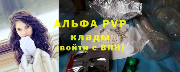 PSILOCYBIN Белокуриха