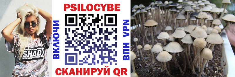 Псилоцибиновые грибы Psilocybe darknet телеграм Катав-Ивановск где продают